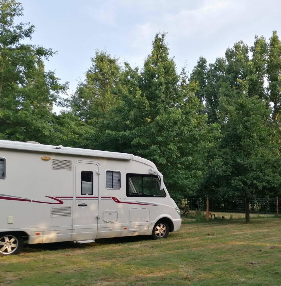 Aire camping-car  Saint-Andr-Goule-d'Oie (85250) - Photo 6